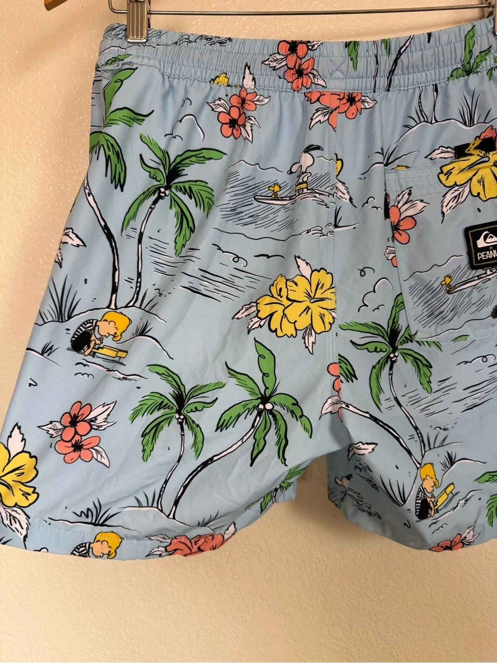 Quiksilver x Peanuts Snoopy Shred 17